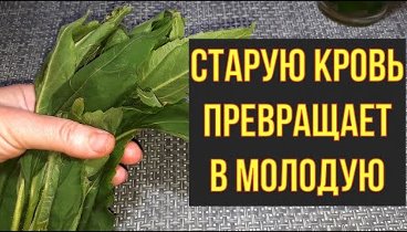 Видеоролик