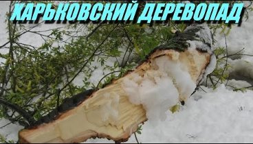 Видеоролик