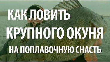 Рыба окунь на поплавочную удочку. Ловля крупного окуня