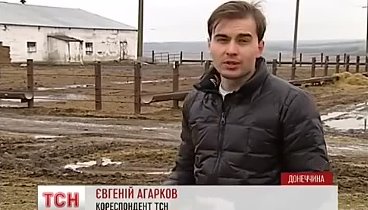 Прифронтове селище Чермалик залишилось під обстрілами і без грошей