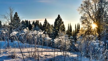 Красота снежной зимы в Удмуртии.