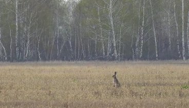 Рабочие моменты оператора