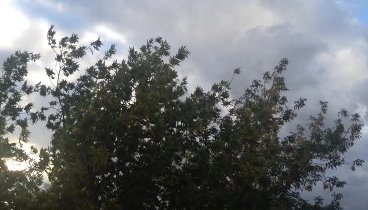 Сильный ветер в Богдановиче