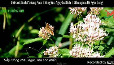 Ngâm thơ Hành Phương Nam  -  Nguyễn Bính