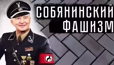 Указ СССэсовца