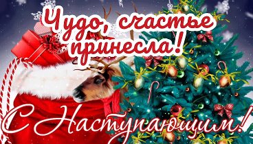 С Наступающим Новым Годом 2022🎄☃️🤗#С наступающим Новым годом#с нас ...