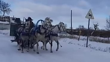 Посёлок Новодугино,  Смоленская область.