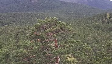 Арыкбалык. 👍👋❤️🇰🇿