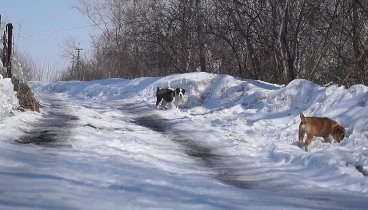 Видеоролик