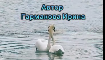 Мои стихи 