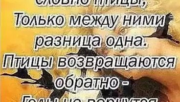 Видеоролик