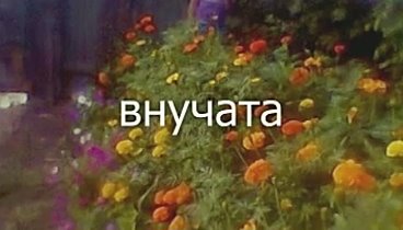 внучата