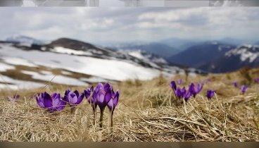 С наступающим Новым годом!