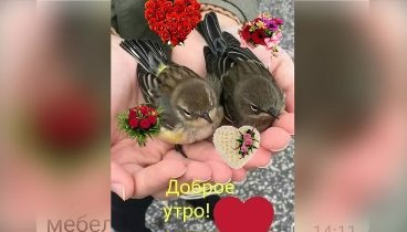 С наступающим Новым годом!