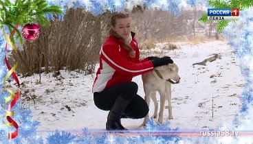 ГТРК «Пенза» поздравляет с Годом собаки