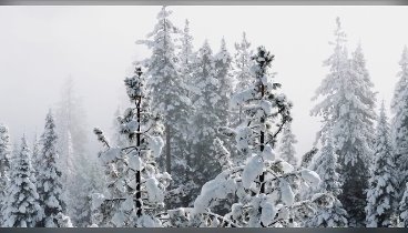 С наступающим Новым годом!