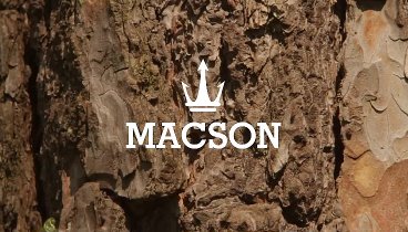 MACSON - AUTUMN - WINTER 2014 - 2015