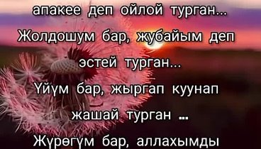 Жаратканга шугур 😘