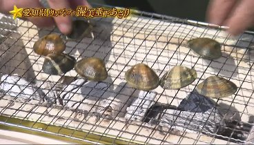 満天☆青空レストラン 230408 動画 日本にはまだまだ美味しい食材がたくさんある | 2023年4月8日