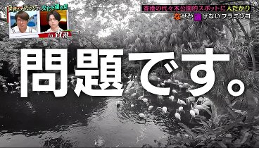 リア突ＷＥＳＴ 230409 動画 香港一の繁華街を調査！ | 2023年4月9日