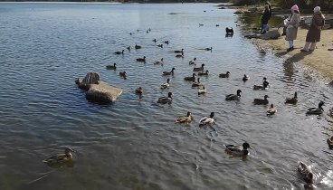 Природный парк "Каменные палатки".Озеро Шарташ. Екатеринбург.