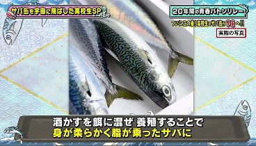 奇跡体験！アンビリバボー 230330 動画 サバ缶を宇宙に飛ばした高校生２時間ＳＰ | 2023年3月30日