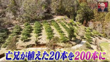 ポツンと一軒家 230402 動画 フルーツの木が並ぶ | 2023年4月2日