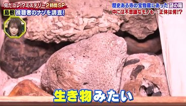 世界の何だコレ！？ミステリー 230405 動画 元刑事が語る謎の失踪事件 | 2023年4月5日