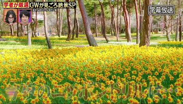 林修のニッポンドリル 230412 動画 春の３時間ＳＰ！ＧＷに見たい絶景 | 2023年4月12日