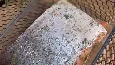 Солим рыбу