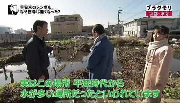 ブラタモリ 230513 動画 | 2023年5月13日