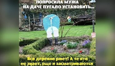 Видеоролик