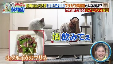 嗚呼‼みんなの動物園 230708 動画 譲渡会直前ブサカワ猫 | 2023年7月8日