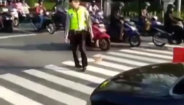 Полицейский перевел котенка через дорогу