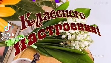 Видеоролик