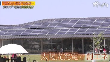 ガイアの夜明け 230609 動画 | 2023年6月9日