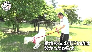 ヤギと大悟 230728 動画 ヤギと千鳥・大悟が夏休み避暑地として大人気 | 2023年7月28日