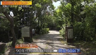 ガイアの夜明け 230616 動画 | 2023年6月16日