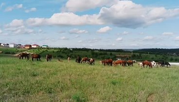   Город Иркутск Деревня Куда улица Владимирская 🤗😍