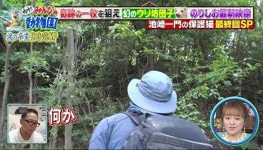 嗚呼‼みんなの動物園 230729 動画 池崎家の保護猫のりしお卒業！ | 2023年7月29日