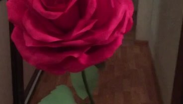 Ростовая роза 🌹старый оскол 🌹мастер юлия цветкова