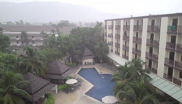 Тропический дождик