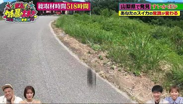 発表！ウチの県の大事ケン 230904 動画 フルーツ王国山梨で出会ったスイカバカ！ | 2023年9月4日