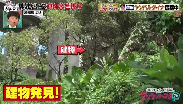 アンタッチャブるTV 230905 動画 沖縄で幻の鳥ヤンバルクイナ大発見SP山崎フジモン珍道中 | 2023年9月5日