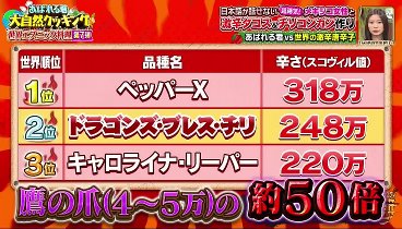 冒険少年 230911 動画 あばれる君が山ごもり本場メキシコ料理に挑戦！ | 2023年9月11日