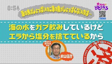 チコちゃんに叱られる！ 230930 動画 七五三の謎▽ボーっと歩くと▽海水魚の不思議 | 2023年9月30日