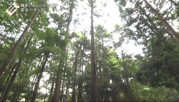 ぶらり途中下車の旅 230930 動画 程良い霜降りの希少牛肉＆元祖 | 2023年9月30日