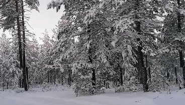 Радоваться жизни здесь и сейчас 