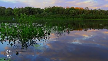 Волшебный пейзаж. Вечер, смеркалось, река, на берегу. Музыка, природ ...