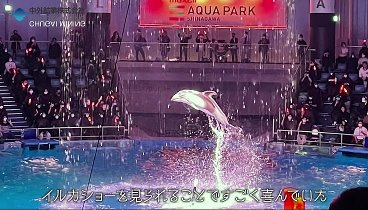 カンブリア宮殿 231026 動画 | 2023年10月26日